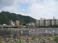 08gifu_050.jpg