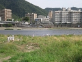 08gifu_061.jpg